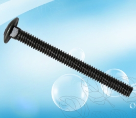 Carriage bolt
